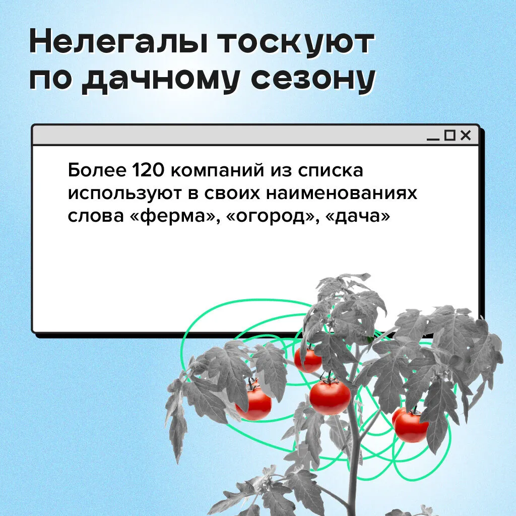 Финансовая пирамида