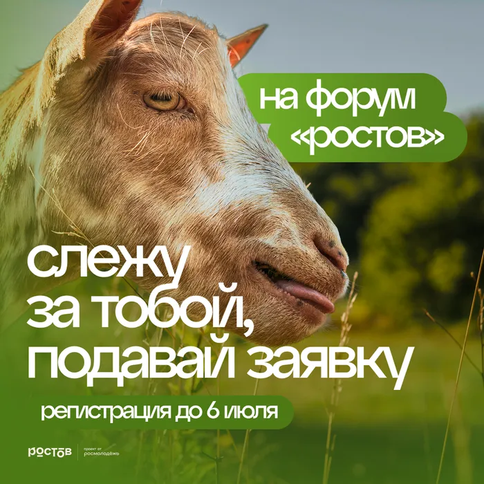 форум ростов 1