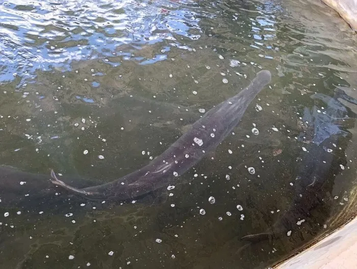 55b00a52-1d76-4e94-8097-022f26c63664