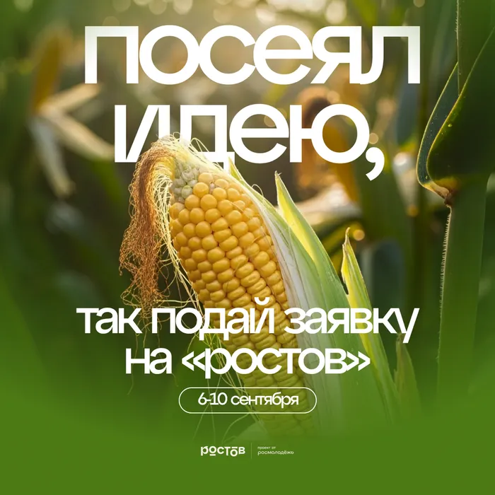 форум ростов 2