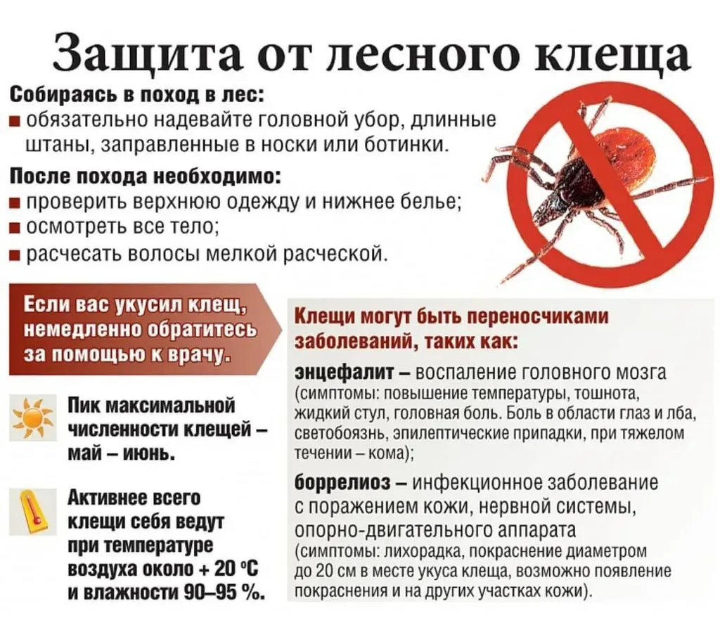 Осторожно клещи
