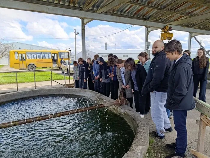 7035cb59-033e-4929-a7e4-9c45cd0a4deb